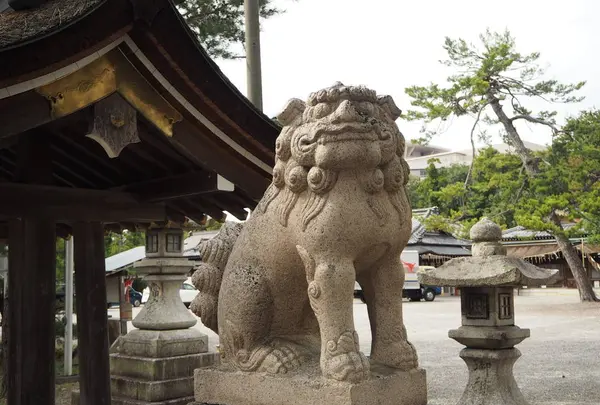 長浜八幡宮の写真・動画_image_318278
