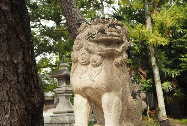 長浜八幡宮の写真・動画_image_318281