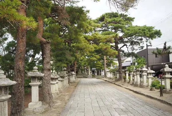 長浜八幡宮の写真・動画_image_318282