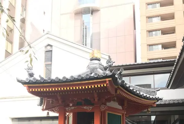 六角堂の写真・動画_image_318565