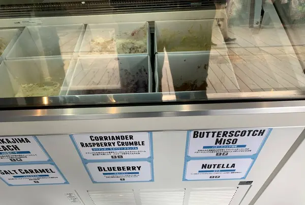 Mount Desert Island Ice Cream Matsumotoの写真・動画_image_318912