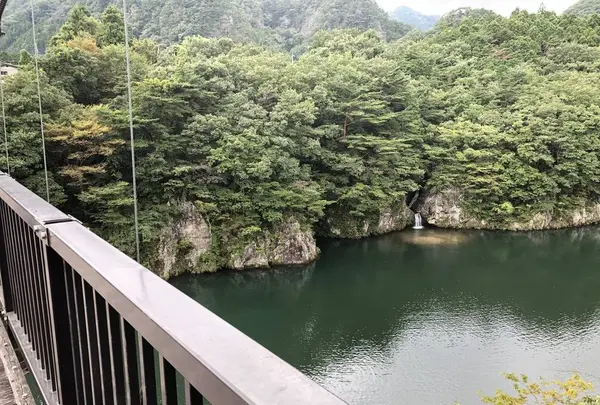 巨大迷路 パラディアムの写真・動画_image_319079