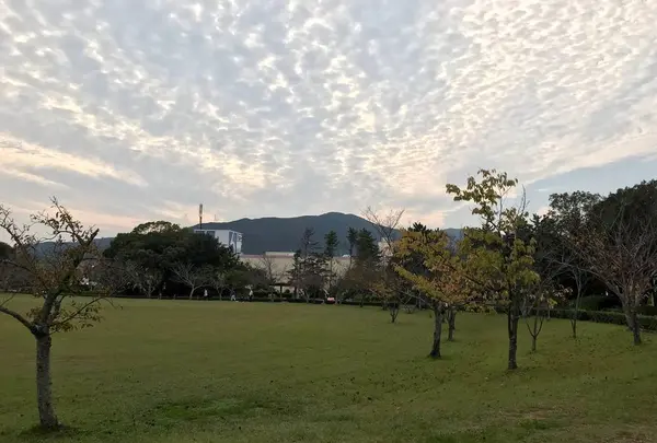 鳥羽市民の森公園の写真・動画_image_319424