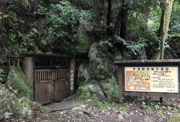 宇津野洞窟の写真・動画_image_319556