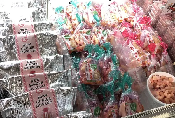 岩下の新生姜ミュージアムの写真・動画_image_319564