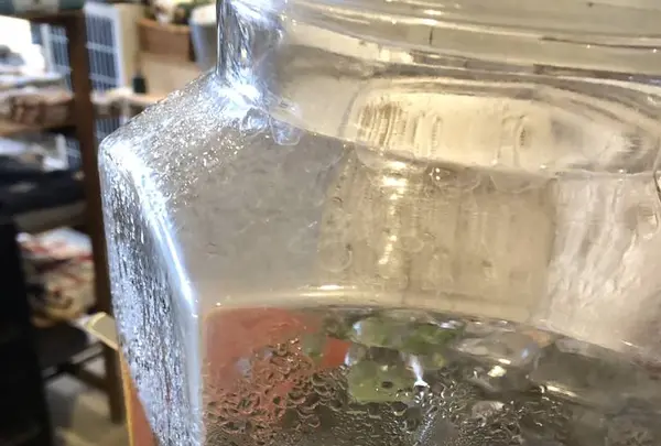 福綴の写真・動画_image_319628