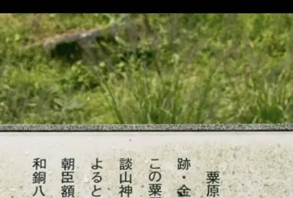 粟原寺跡の写真・動画_image_319747