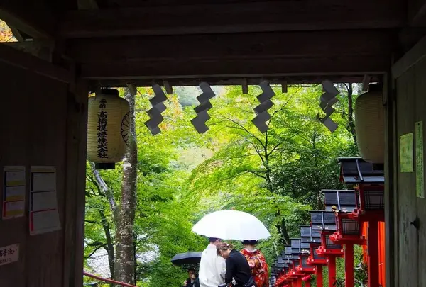 貴船神社の写真・動画_image_319765