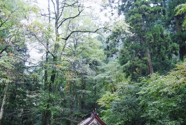 貴船神社の写真・動画_image_319767