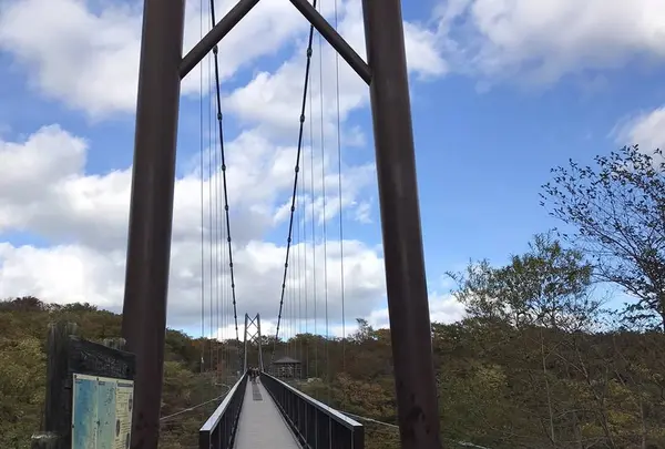 つつじ吊橋の写真・動画_image_320366