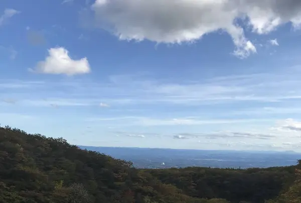 つつじ吊橋の写真・動画_image_320367