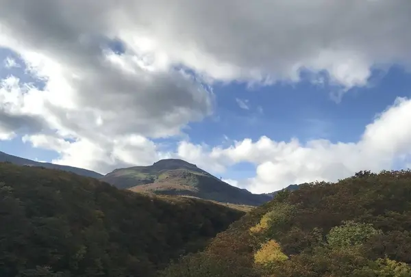 つつじ吊橋の写真・動画_image_320368