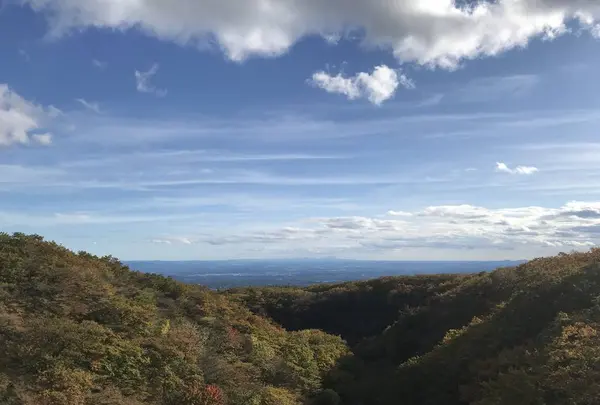 つつじ吊橋の写真・動画_image_320370