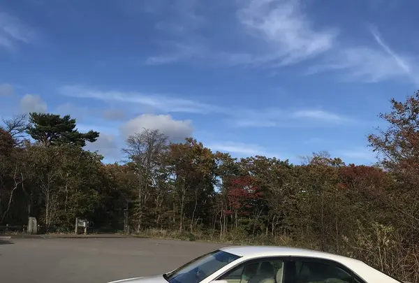 那須平成の森の写真・動画_image_320384