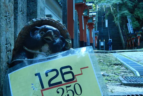 大本山 狸谷山不動院の写真・動画_image_320732