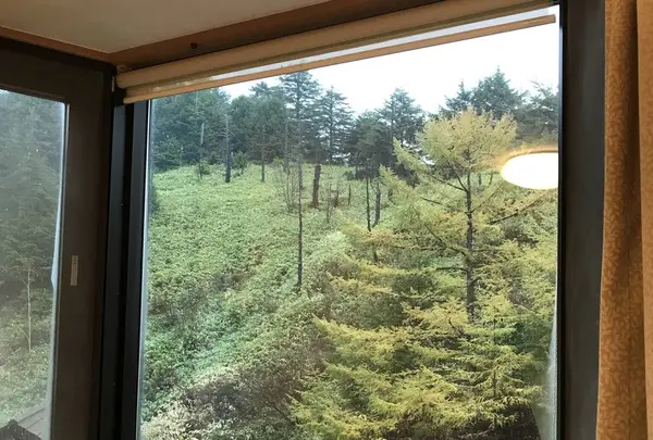 旧軽井沢銀座の写真・動画_image_320864