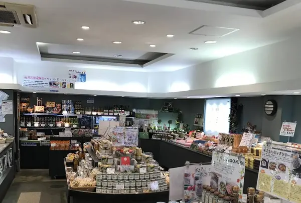 旧軽井沢銀座の写真・動画_image_320869