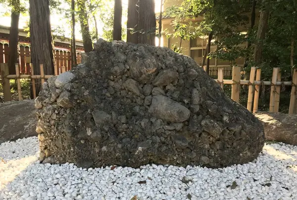 武蔵一宮 氷川神社の写真・動画_image_320917