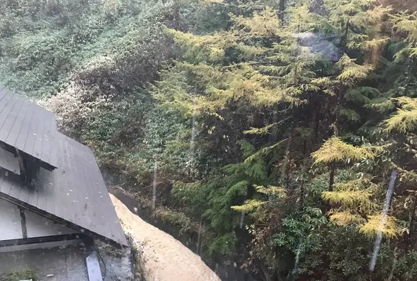 旧軽井沢銀座の写真・動画_image_320987