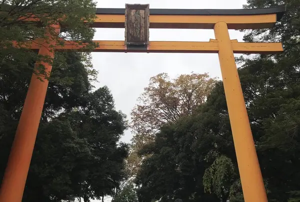 川越氷川神社の写真・動画_image_321326