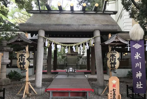 川越氷川神社の写真・動画_image_321328
