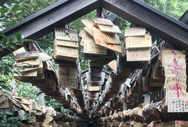 川越氷川神社の写真・動画_image_321337