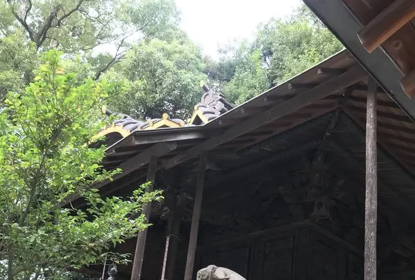 川越氷川神社の写真・動画_image_321338