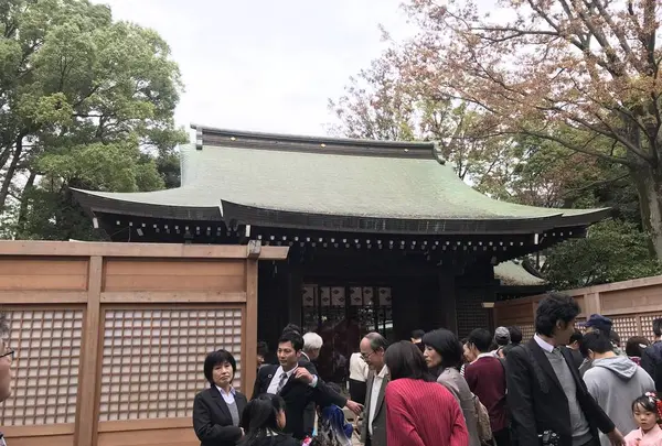 川越氷川神社の写真・動画_image_321339