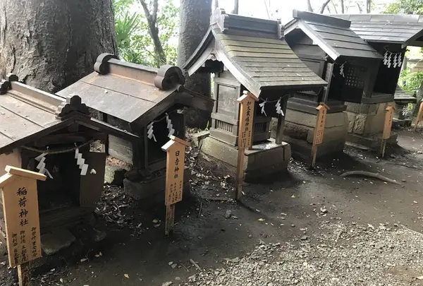 川越氷川神社の写真・動画_image_321340