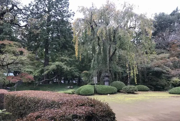 川越大師 喜多院の写真・動画_image_321350