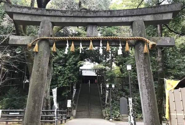 仙波東照宮の写真・動画_image_321358