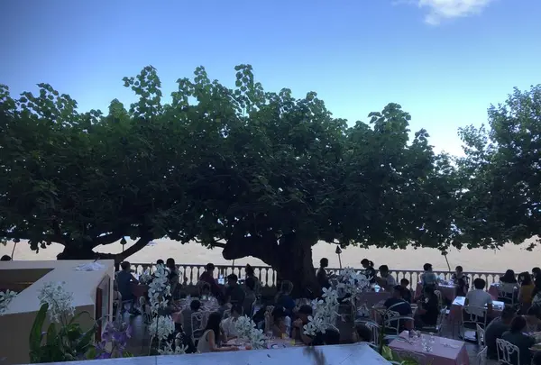 ハウ ツリー ラナイの写真・動画_image_321673