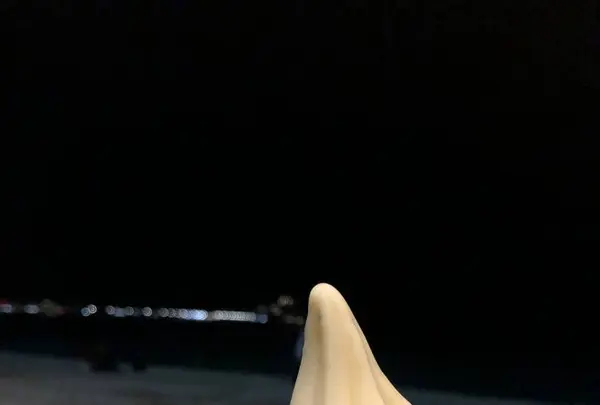 Banan Waikiki Beach Shackの写真・動画_image_321678