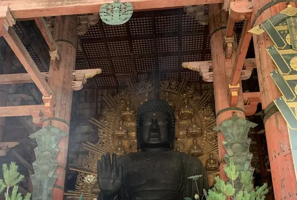 東大寺の写真・動画_image_321806