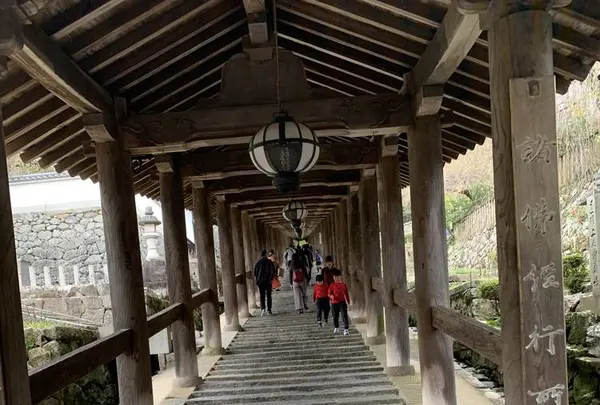 長谷寺の写真・動画_image_321811