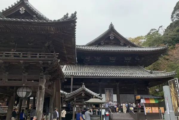 長谷寺の写真・動画_image_321812