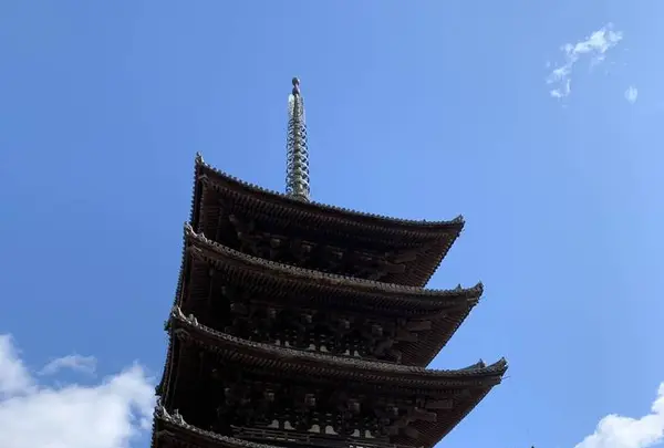 興福寺の写真・動画_image_321816