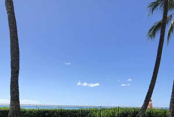 オーキッドの写真・動画_image_321862