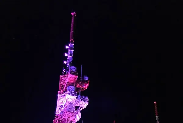 稲佐山の写真・動画_image_321878