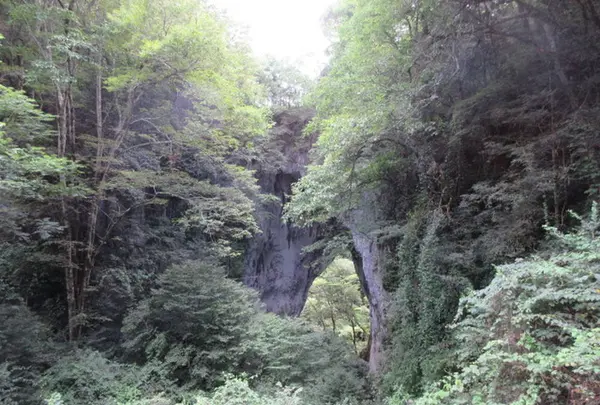 羅生門の写真・動画_image_321961