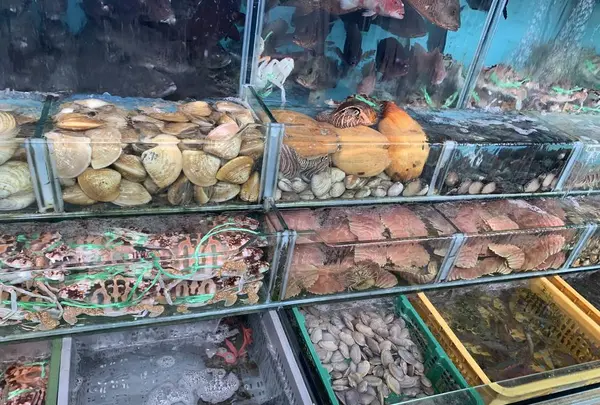 金翡翠活海鮮の写真・動画_image_322123