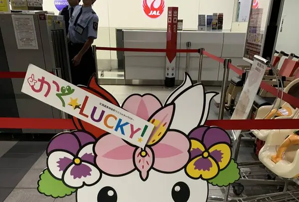 旭川空港の写真・動画_image_322124