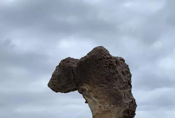 野柳地質公園の写真・動画_image_322131