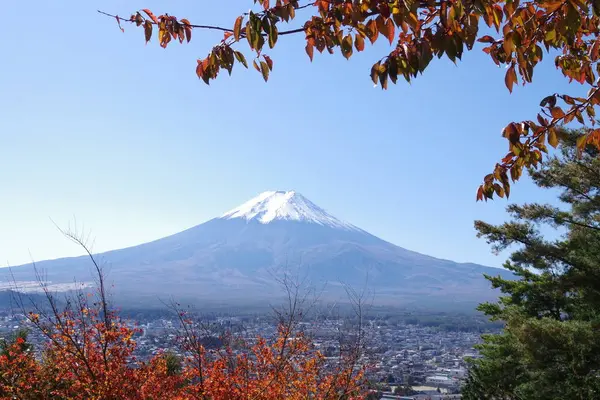 新倉山浅間公園の写真・動画_image_322219