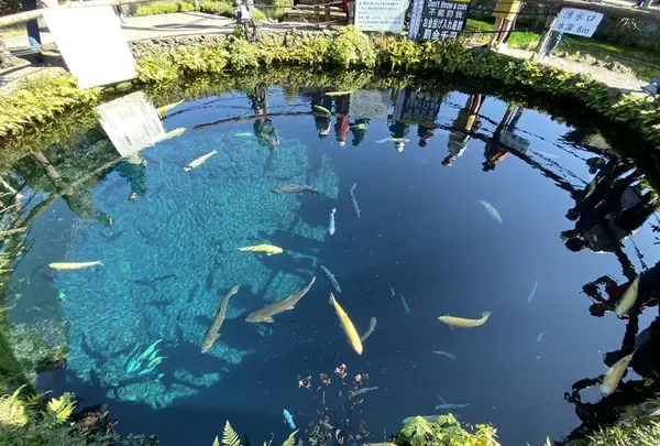 忍野八海の写真・動画_image_322226
