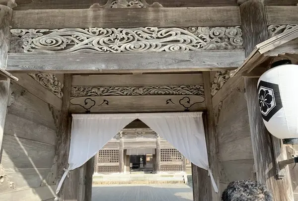 出雲大社の写真・動画_image_322445