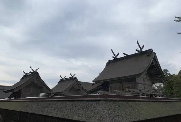 出雲大社の写真・動画_image_322447