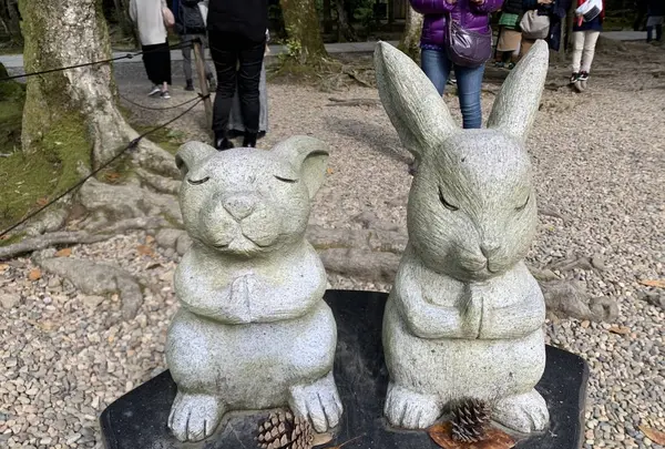 出雲大社の写真・動画_image_322457