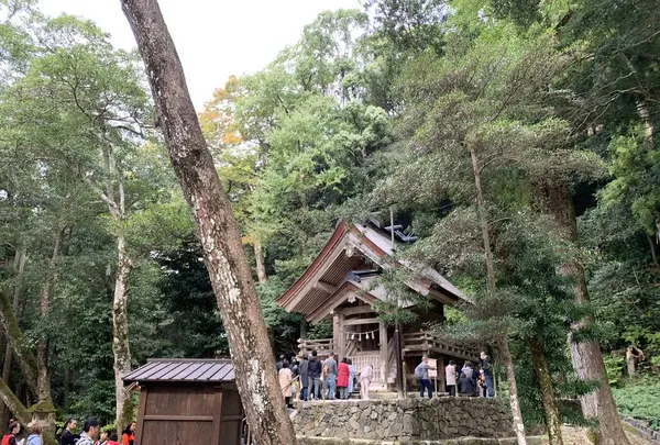 出雲大社の写真・動画_image_322458