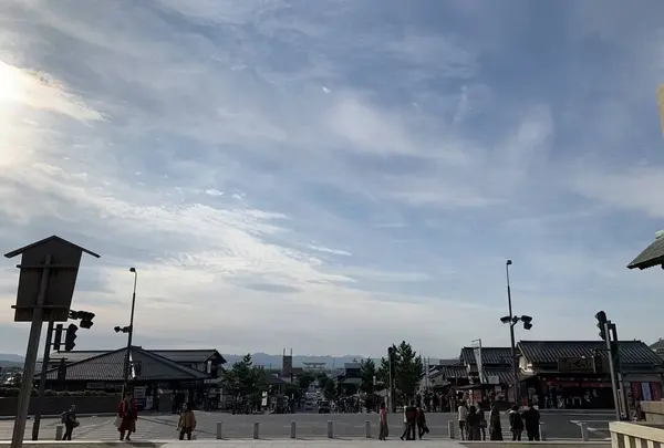 松の参道の写真・動画_image_322462